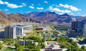 致远慧谷：柔性引进高层次人才 共谋创新创业事业新篇章